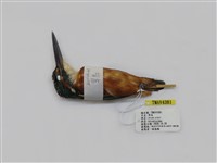 藏品(翠鳥)的圖片